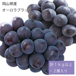 岡山県産 オーロラブラック 計1kg以上・2房入り【お届け期間:9月5日〜9月28日】【NN】