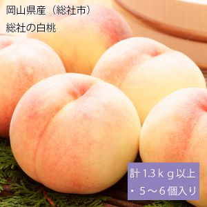 岡山県産(総社市)総社の白桃 計1.3kg以上・5〜6個入り【お届け期間:6月25日〜8月28日】【NN】