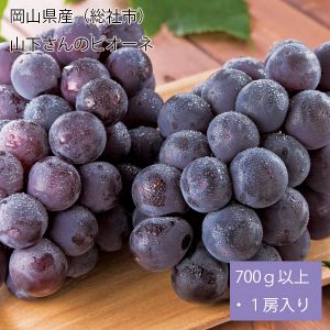 岡山県産(総社市)山下さんのピオーネ 700g以上・1房入り【お届け期間:7月1日〜8月6日】【NN】