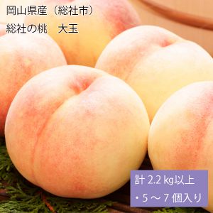 岡山県産(総社市)総社の桃 大玉 計2.2kg以上・5〜7個入り【お届け期間:8月20日〜9月25日】【NN】