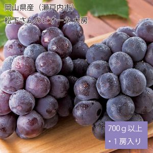 岡山県産(瀬戸内市)松下さんのピオーネ 大房700g以上・1房入り【お届け期間:8月1日〜8月31日】【NN】