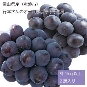 岡山県産(赤磐市)行本さんのオーロラブラック 計1kg以上2房入り【お届け期間:8月15日〜9月10日】【NN】