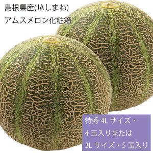 島根県産(JAしまね) アムスメロン化粧箱 特秀4Lサイズ・4玉入りまたは3Lサイズ・5玉入り【お届け期間:6月1日〜7月28日】【NN】