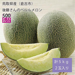 鳥取県産(倉吉市)後藤さんのペルルメロン 計5kg2玉入り【お届け期間:6月10日〜7月5日】【NN】