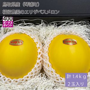 鳥取県産(琴浦町)福留農園のエリザベスメロン 計1.4kg2玉入り【お届け期間:6月1日〜6月30日】【NN】