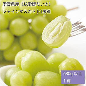 愛媛県産(JA愛媛たいき)シャインマスカット 680g以上・1房入り【お届け期間:8月7日〜8月25日】【NN】