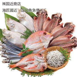 山口県 (株)国近商店 海匠國近 山口魚急便K-C あじ開き4枚、カレイ一汐3枚、連子鯛開き1枚、のどぐろ開き1枚、釜揚げちりめん60g、うるめ丸干し5尾【お届け期間:6月11日〜8月25日】【NN】