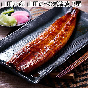 山田水産 山田のうなぎ蒲焼 3尾【限定500点】【株主優待セール】：商品画像