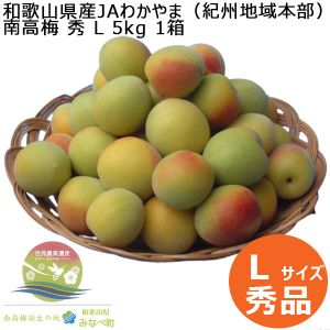 和歌山県産JAわかやま(紀州地域本部) 南高梅 秀L 5kg 1箱【お届け期間:6/6(金)〜6/15(日)】【CB】