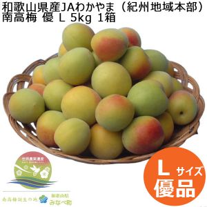和歌山県産JAわかやま(紀州地域本部) 南高梅 優L 5kg 1箱【お届け期間:6/13(金)〜6/22(日)】【CB】
