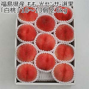 福島県産 もも 光センサ-選果「白桃」 10〜13個 2.6kg【お届け期間：7月5日〜7月31日】【従業員感謝WEEK】