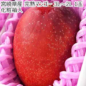 宮崎県産 完熟マンゴー 3L〜2L 1玉 化粧箱入【お届け期間：6月20日〜7月10日】【イオンゴールドカード会員さま限定特別セール6月】