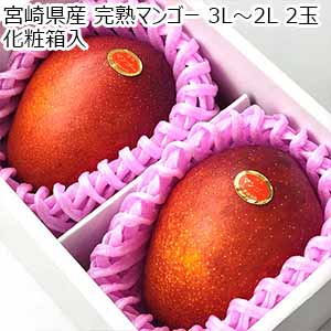 宮崎県産 完熟マンゴー 3L〜2L 2玉 化粧箱入【お届け期間：6月20日〜7月10日】【イオンゴールドカード会員さま限定特別セール6月】