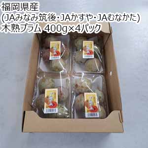 福岡県産(JAみなみ筑後・JAかすや・JAむなかた) 木熟プラム 400g×4パック【お届け期間：7月1日〜7月15日】【イオンゴールドカード会員さま限定特別セール6月】
