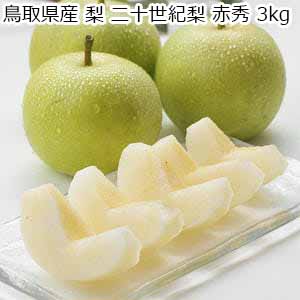 鳥取県産 梨 二十世紀梨 赤秀 3kg【限定50点】【お届け期間：8月20日〜9月25日】【イオンゴールドカード会員さま限定特別セール6月】