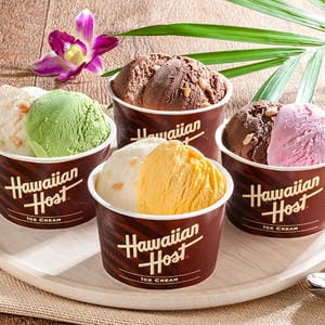 ハワイアンホースト マカダミアナッツアイス【お届け期間：7月5日〜8月10日】[AH-HS]【イオンゴールドカード会員さま限定特別セール6月】