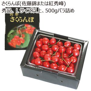 山形県寒河江市産 さくらんぼ(佐藤錦または紅秀峰) 秀品 Lサイズ以上 500gバラ詰め 【限定100点】【お届け期間:6/2(月)〜7/1(火)】【MK】