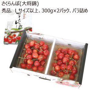 山形県産 さくらんぼ(大将錦) 秀品 Lサイズ以上 300g×2パックバラ詰め 【限定100点】【お届け期間:6/10(火)〜7/3(木)】【MK】