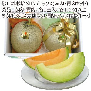 山形県産 砂丘地栽培メロンデラックス(赤肉・青肉セット) 秀品 赤肉・青肉 各1玉入 各1.5kg以上 ※赤肉(アンデスまたはレノン)・青肉(アンデスまたはグレース)【MK】