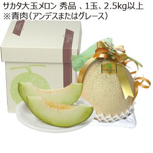 山形県酒田市産 サカタ大玉メロン 秀品 1玉 2.5kg以上 ※青肉(アンデスまたはグレース) 【お届け期間:7/1(火)〜8/15(金)】【MK】