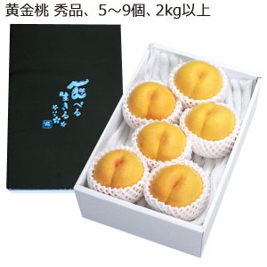 福島県産 黄金桃 秀品 5〜9個 2kg以上 【お届け期間:8/10(日)〜8/25(月)】【MK】