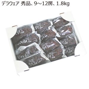 山形県南陽市産 デラウェア 秀品 9〜12房 1.8kg 【お届け期間:7/25(金)〜8/15(金)】【MK】