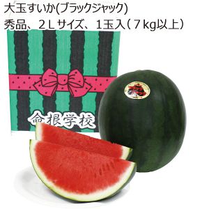 山形県産 大玉すいか(ブラックジャック) 秀品 2Lサイズ 1個 7kg以上 【お届け期間:7/20(日)〜8/15(金)】【MK】