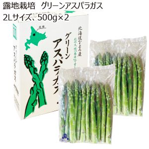 北海道名寄市産 露地栽培 グリーンアスパラガス 2Lサイズ500g×2 【お届け期間:5/20(火)〜6/15(日)】【MK】
