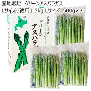 北海道名寄市産 露地栽培 グリーンアスパラガス Lサイズ500g×3 【お届け期間:5/20(火)〜6/15(日)】【MK】