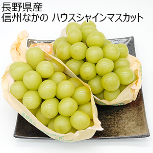 長野県産 信州なかの ハウスシャインマスカット【限定100点】【お届け期間：8月9日〜8月14日】【お盆ごちそう特集】
