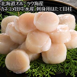 北海道オホーツク海産 カネコメ田中水産 刺身用ほたて貝柱 500g【お届け期間：8月8日〜8月12日】【お盆ごちそう特集】