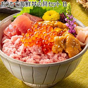 おうちで海鮮丼の具セット B【お届け期間：8月8日〜8月12日】【お盆ごちそう特集】