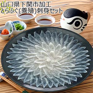 山口県下関市加工 とらふぐ(養殖)刺身セット【お届け期間：8月8日〜8月12日】【お盆ごちそう特集】