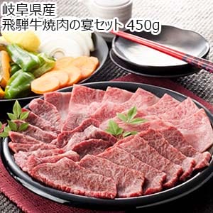 岐阜県産 飛騨牛焼肉の宴セット 450g【お届け期間：8月8日〜8月12日】【お盆ごちそう特集】