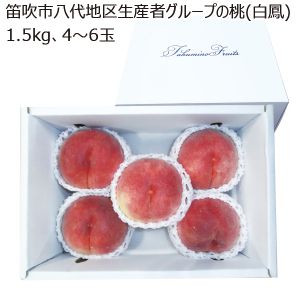 山梨県産 笛吹市八代地区生産者グループの桃 白鳳 1.5kg 4個〜6個【限定500点】【お届け期間:6/28(土)〜7/15(火)】【MK】