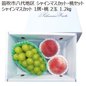 山梨県産 笛吹市八代地区 シャインマスカット・桃セット シャインマスカット 1房・桃 2個 1.2kg【限定300点】【お届け期間:8/10(日)〜8/25(月)】【MK】