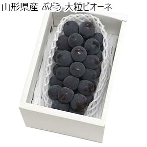 山形県産 ぶどう 大粒ピオーネ【限定200点】【お届け期間：9月15日〜10月10日】【おいしいお取り寄せ】