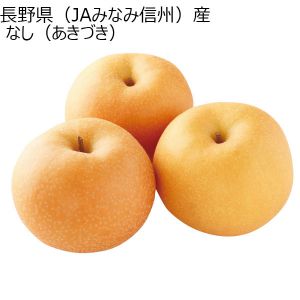 長野県(JAみなみ信州)産 なし(あきづき)【CB】