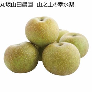丸坂山田農園 山之上の幸水梨 幸水 5〜8玉 (3kgUP)【CB】