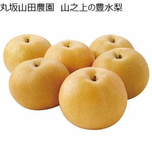 丸坂山田農園 山之上の豊水梨 豊水 5〜8玉 (3kgUP)【CB】