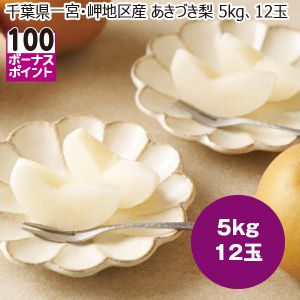 千葉県一宮・岬地区産 あきづき梨 5kg12玉【限定300点】【お届け期間:8/26(火)〜9/25(木)】【MK】
