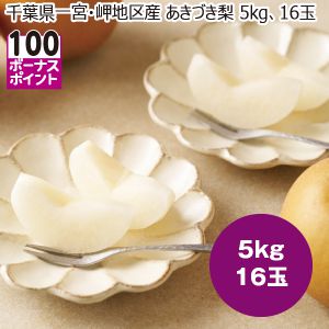 千葉県一宮・岬地区産 あきづき梨 5kg16玉【限定250点】【お届け期間:8/26(火)〜9/25(木)】【MK】