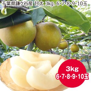千葉県鎌ケ谷産甘太3kg6・7・8・9・10玉【限定50】【お届け期間:9/5(金)〜10/5(日)】【MK】