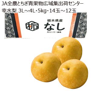 栃木県産JA全農とちぎ青果物広域集出荷センター幸水梨3L〜4L・5kg・14玉〜12玉「お届け期間」2025/8/12〜2025/8/31【KN】