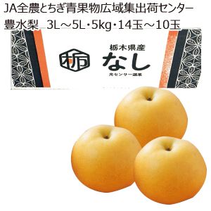 栃木県産JA全農とちぎ青果物広域集出荷センター豊水梨3L〜5L・5kg・14玉〜10玉「お届け期間」2025/9/1〜2025/9/22【KN】