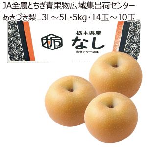 栃木県産JA全農とちぎ青果物広域集出荷センターあきづき梨3L〜5L・5kg・14玉〜10玉「お届け期間」2025/9/3〜2025/9/30【KN】