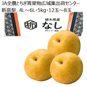 栃木県産JA全農とちぎ青果物広域集出荷センター新高梨4L〜6L・5kg・12玉〜8玉「お届け期間」2025/9/17〜2025/10/15【KN】