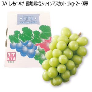 栃木県産JAしもつけ露地栽培シャインマスカット露地栽培・1kg・2〜3房「お届け期間」2025/9/1〜2025/9/21【KN】