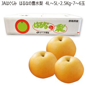 群馬県産JAはぐくみはるなの豊水梨4L〜5L・2.5kg・7〜6玉「お届け期間」2025/9/6〜2025/9/30【KN】