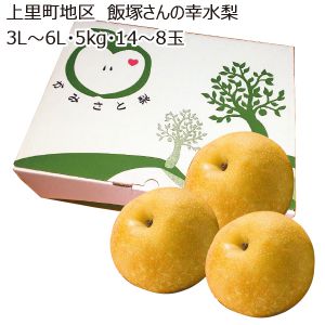 埼玉県産上里町地区飯塚さんの幸水梨3L〜6L・5kg・14〜8玉「お届け期間」2025/8/19〜2025/9/4【KN】
